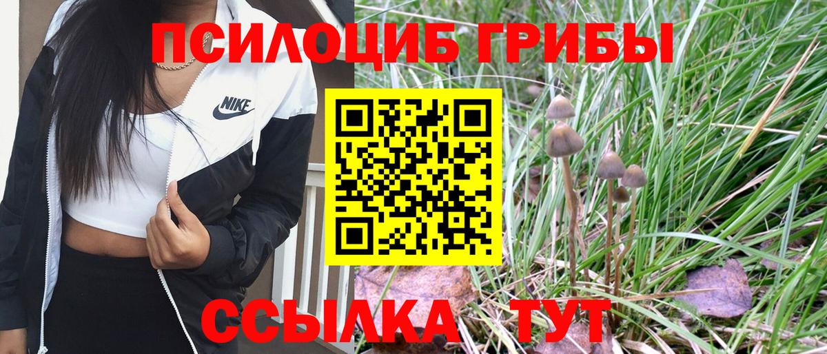 Псилоцибиновые грибы Psilocybe Сухой Лог